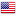English (USA)